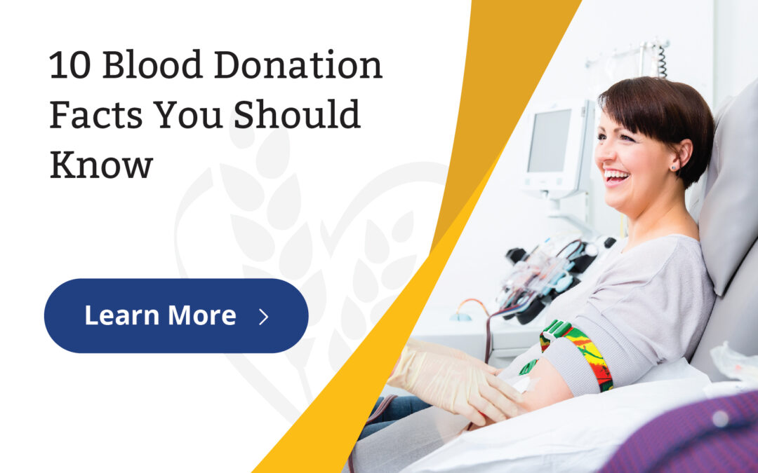 10 Blood Donation Facts You Should Know
