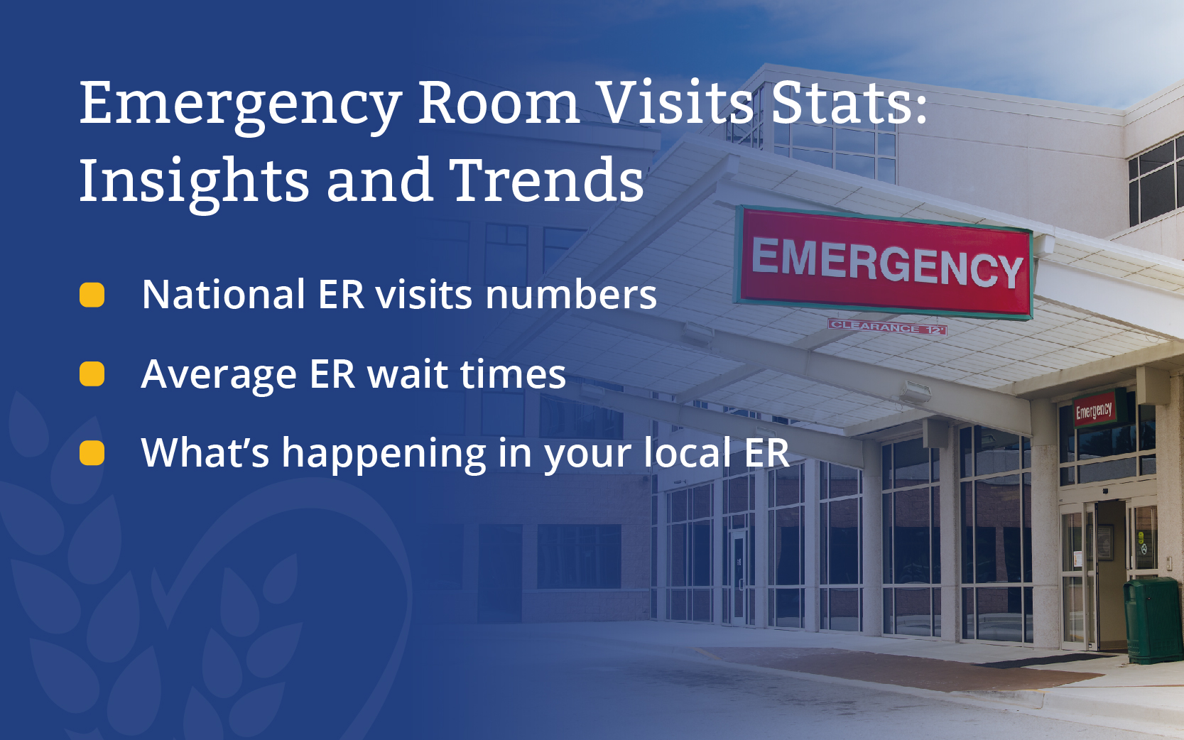 emergency room visits statistics
